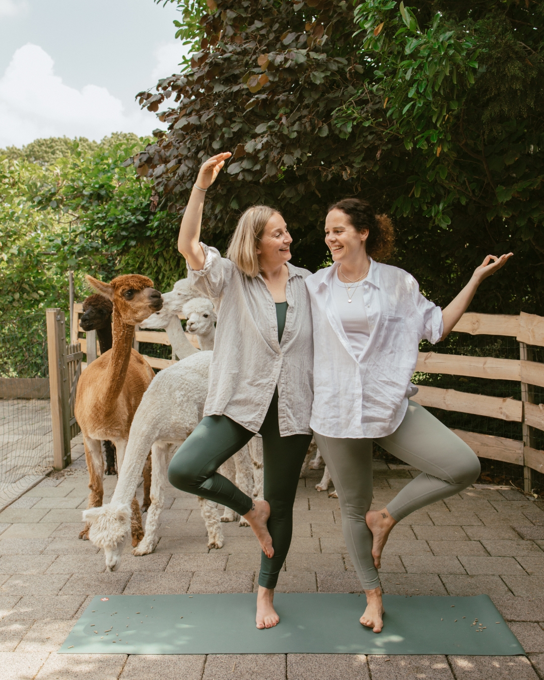 Alpaca Yoga is terug! | 711 Yoga