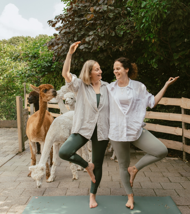 Alpaca Yoga is terug! | 711 Yoga